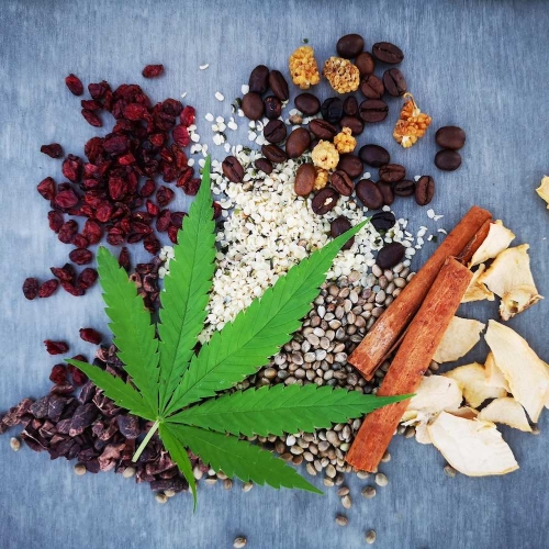 Cannabis voll im Trend