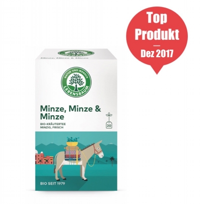 Bio Kräutertee Minze